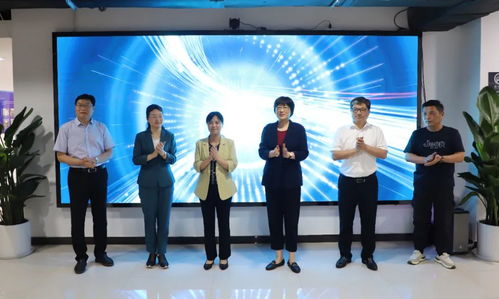 合肥数字文化创意产业研发中心启动，以内容服务为引擎驱动文化科技融合新篇章